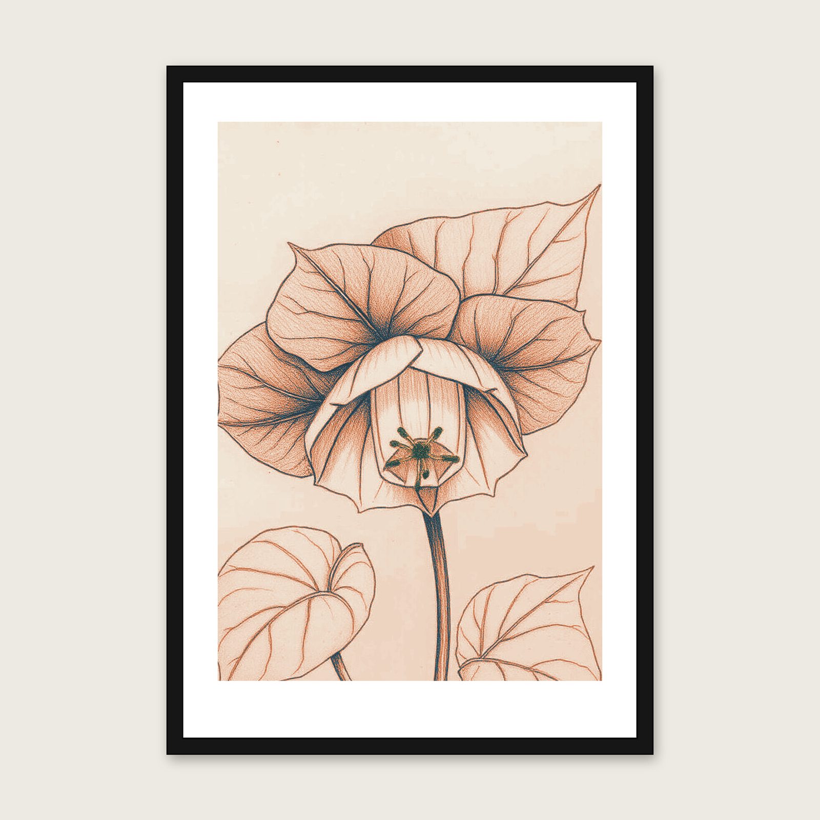 Halabore Sketch Hellebore Foliage Print - Botanical Framed Wall Art Picture ...
